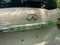 2019 INFINITI QX80 LUXE 4WD