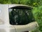 2019 INFINITI QX80 LUXE 4WD